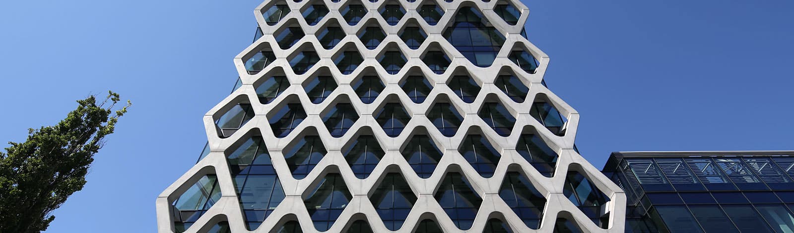 Manufiber products